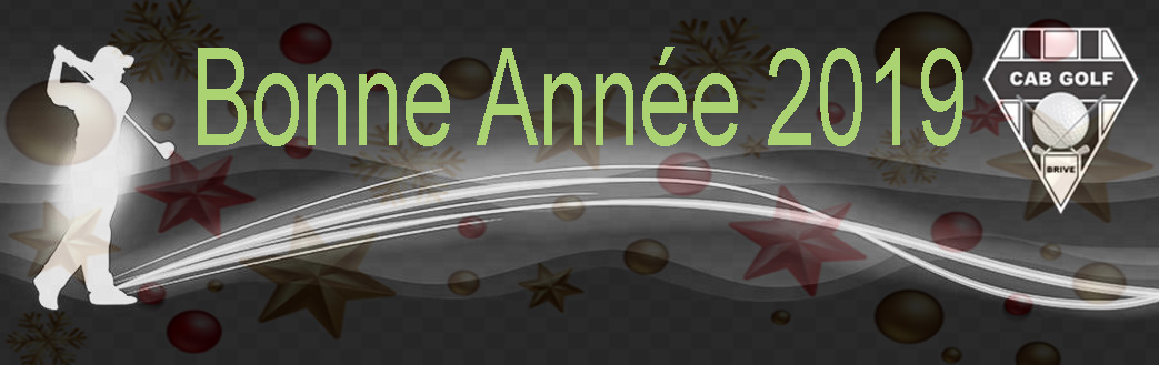 bonne année 3